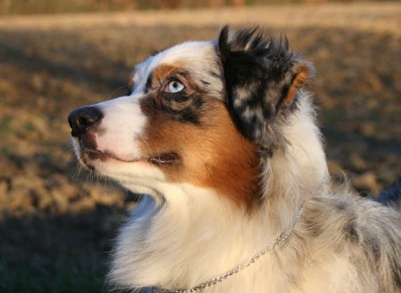 D day normandy de Solemel