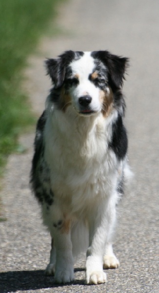 Carlsbad caverns sword of damocles de Solemel