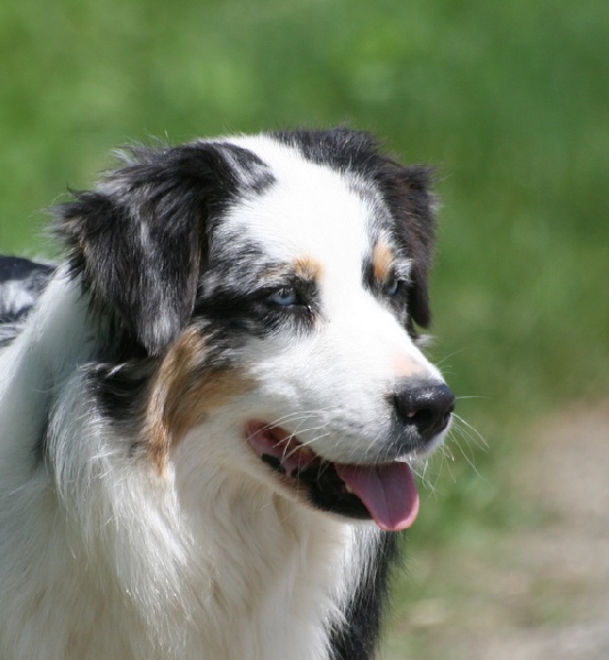 Carlsbad caverns sword of damocles de Solemel