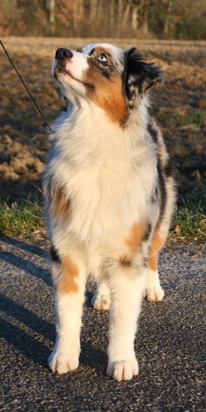 D day normandy de Solemel