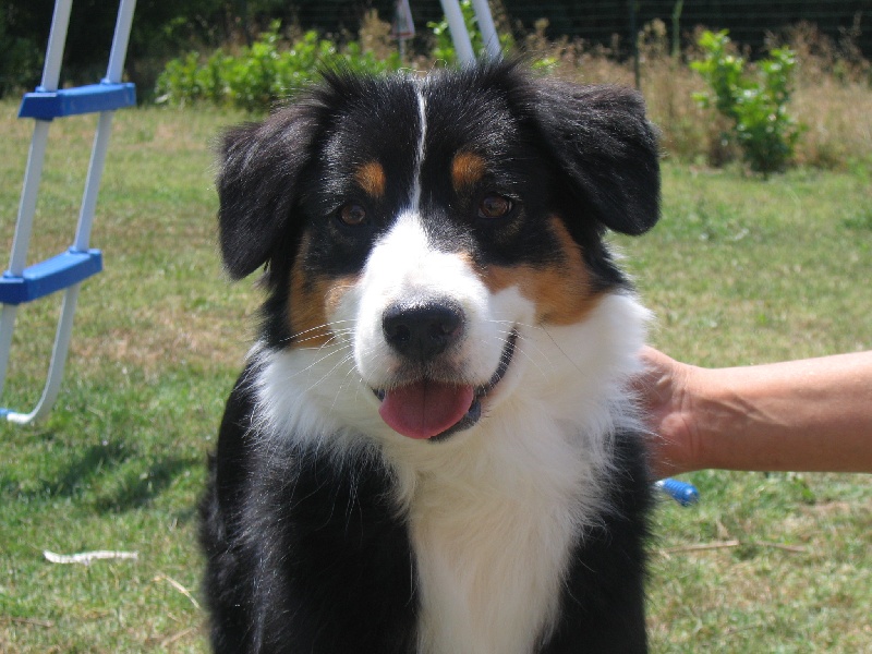 Victory dance de Solemel