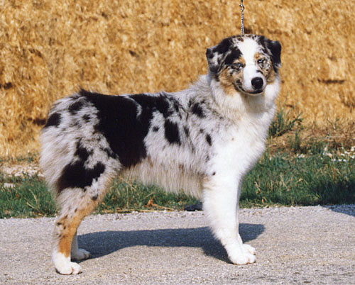 Publication : de Solemel Auteur : Laurence Aries