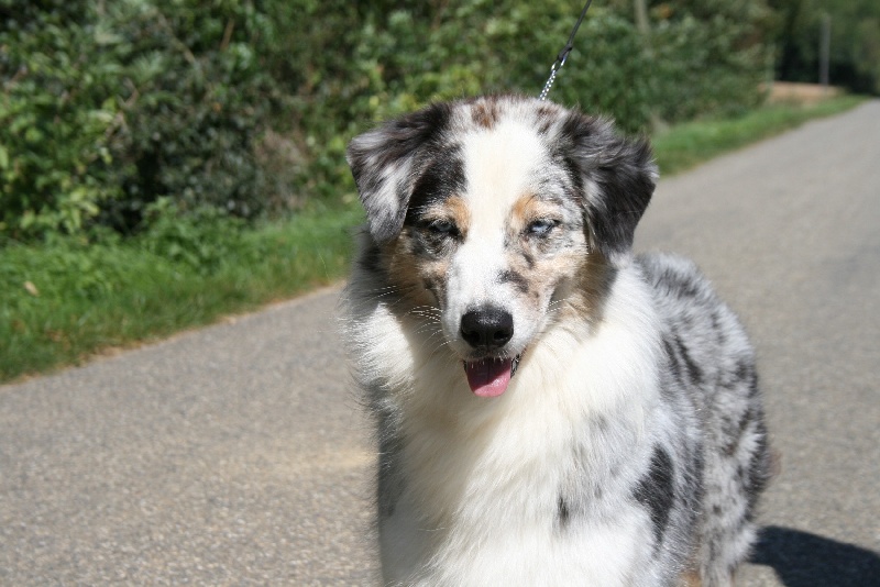 Publication : de Solemel Auteur : Laurence Aries