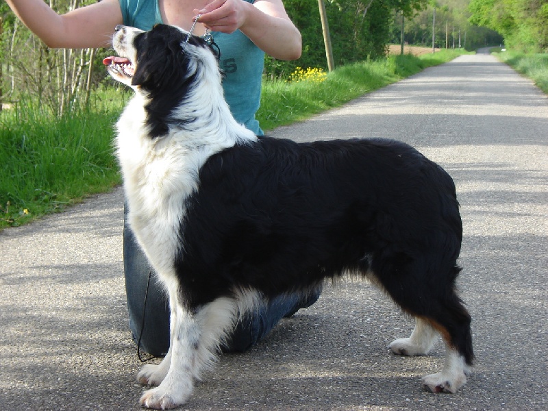 Publication : de Solemel Auteur : Laurence Aries