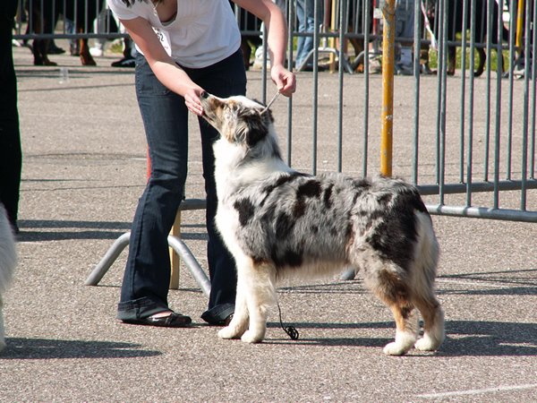 Publication : de Solemel Auteur : Laurence Aries