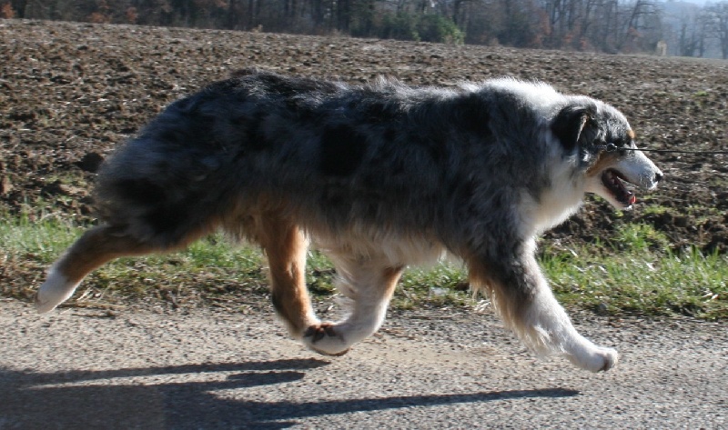 Usa my fair lady de Solemel