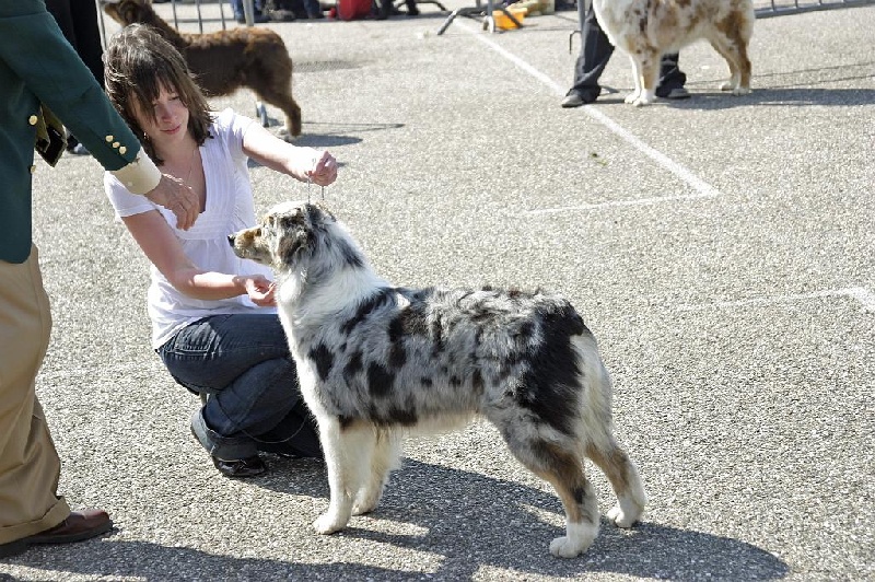 Publication : de Solemel Auteur : Laurence Aries