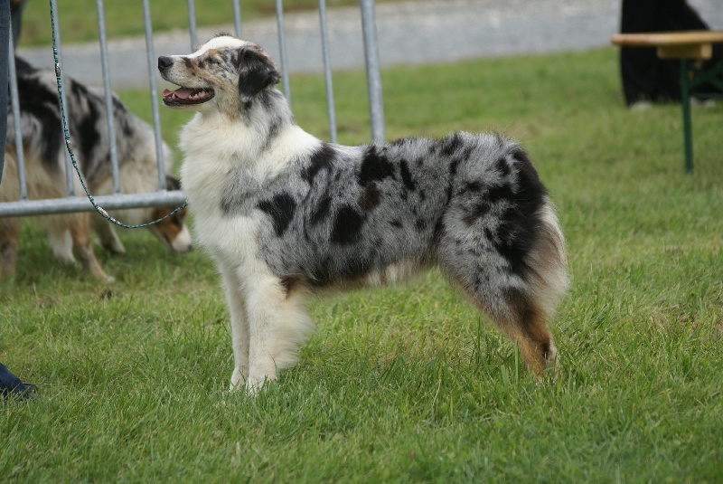 Publication : de Solemel Auteur : Laurence Aries