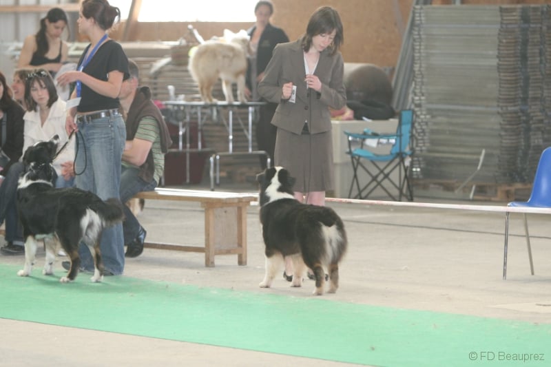 Publication : de Solemel Auteur : Laurence Aries