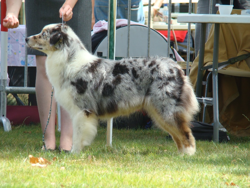 Publication : de Solemel Auteur : Laurence Aries