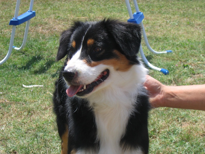 Victory dance de Solemel