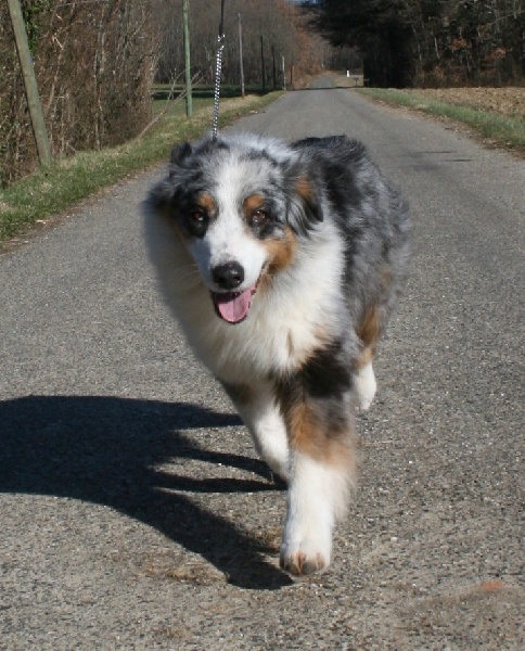 Usa my fair lady de Solemel