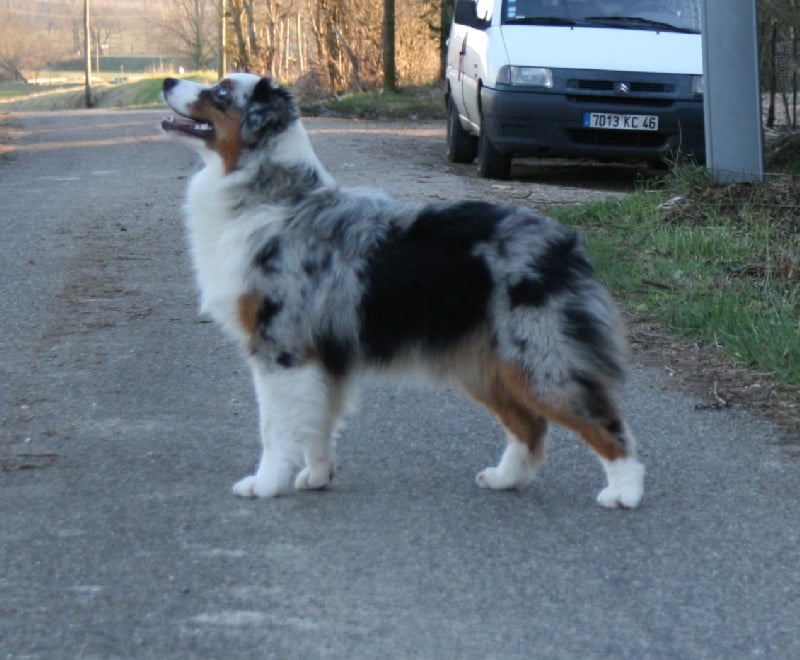 D day normandy de Solemel