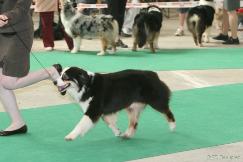 Publication : de Solemel Auteur : Laurence Aries