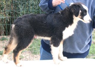 Publication : de Solemel Auteur : Laurence Aries