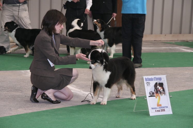 Publication : de Solemel Auteur : Laurence Aries