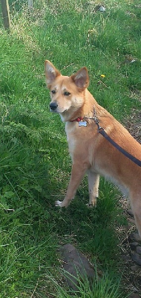 Publication : de Solemel Auteur : Alison B