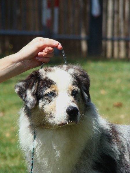 Publication : de Solemel Auteur : Laurence Aries