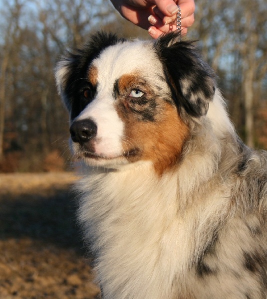 D day normandy de Solemel