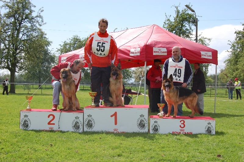 Publication : vom haus Flicka Auteur : JACQUES