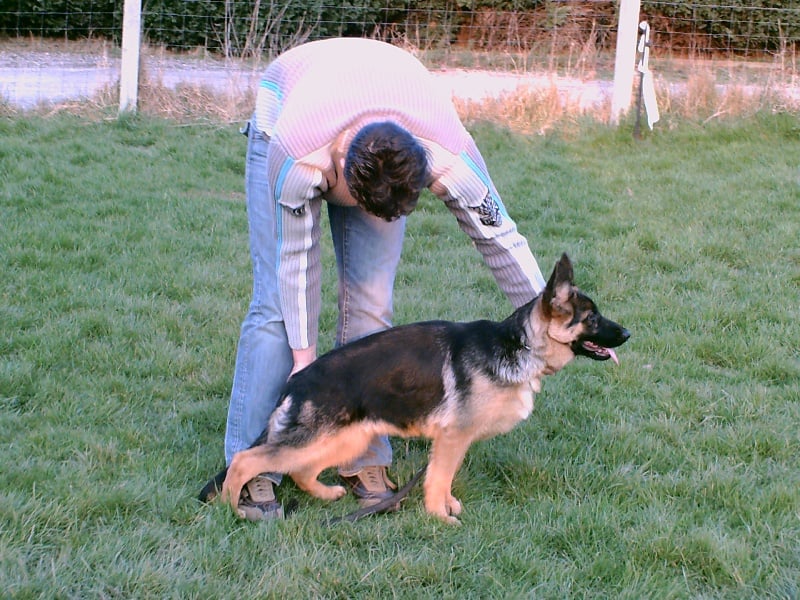 Publication : vom haus Flicka Auteur : JACQUES