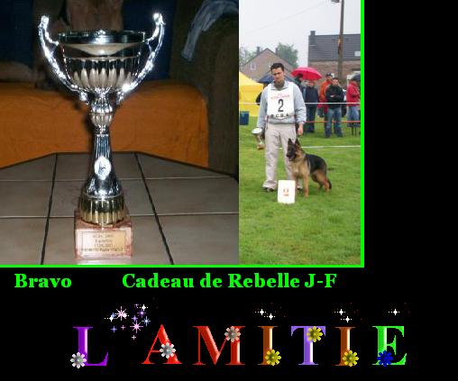 Publication : vom haus Flicka Auteur : JACQUES