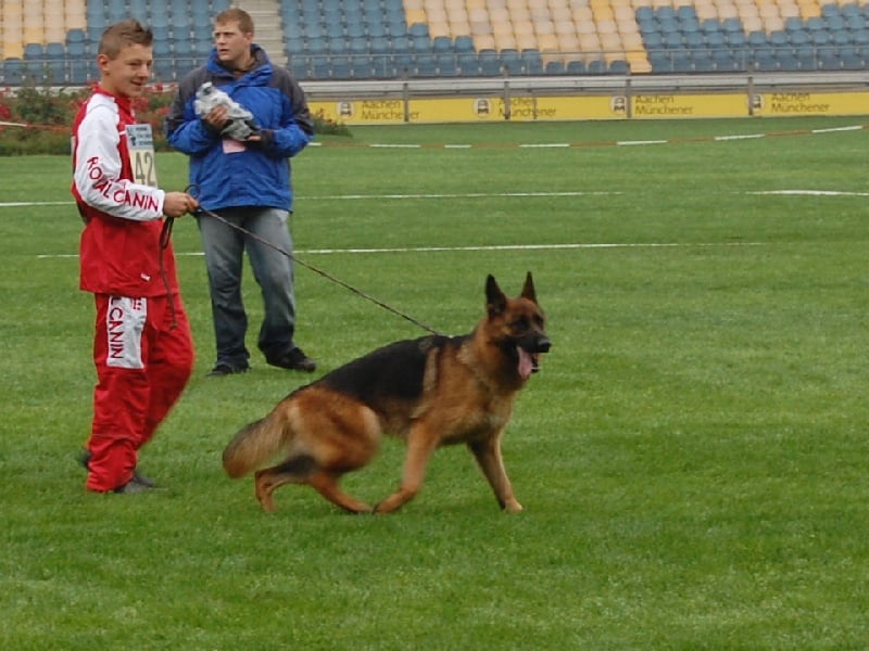 Publication : vom haus Flicka Auteur : JACQUES