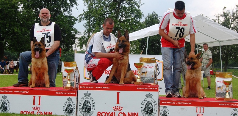 CH. Frisbee du parc a mitrailles vom haus Flicka - 2 excellent