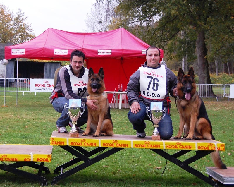 CH. Frisbee du parc a mitrailles vom haus Flicka - REINE DU R C B A
