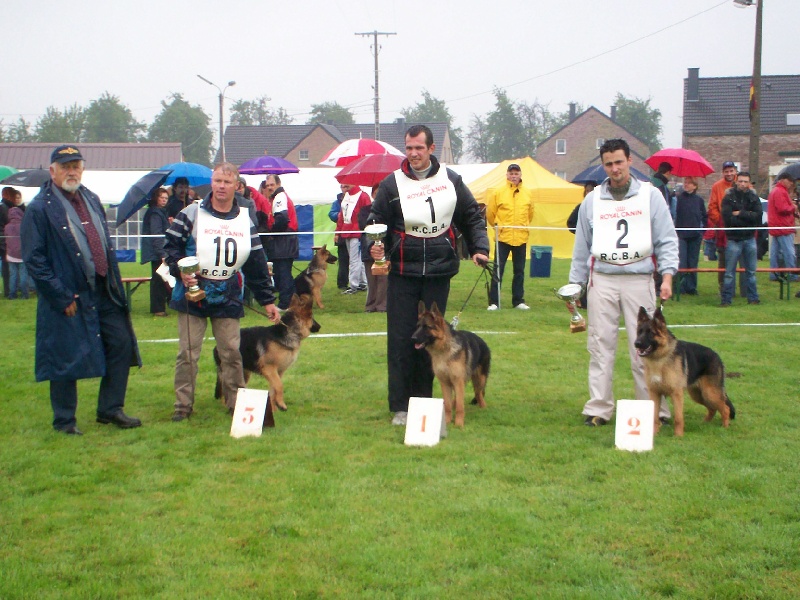 CH. Frisbee du parc a mitrailles vom haus Flicka - classe puppy 2er tres prometteur