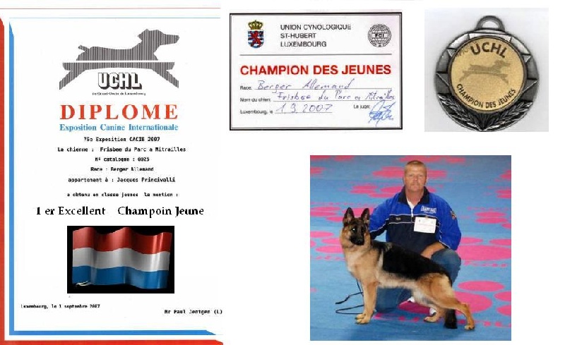 CH. Frisbee du parc a mitrailles vom haus Flicka - 1 excellent titre championne classe jeune