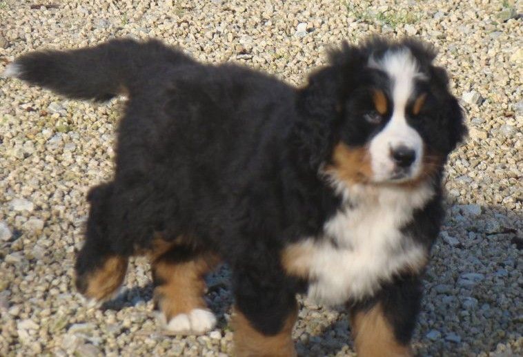 Aquitaine du royaume des rêves