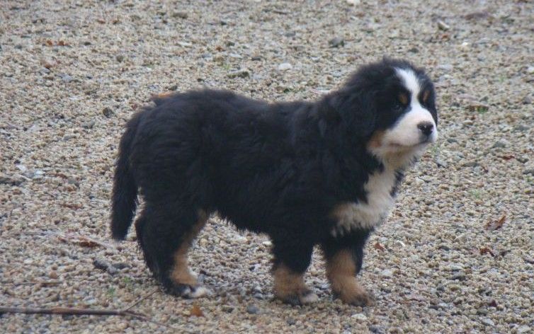 A la une du royaume des rêves