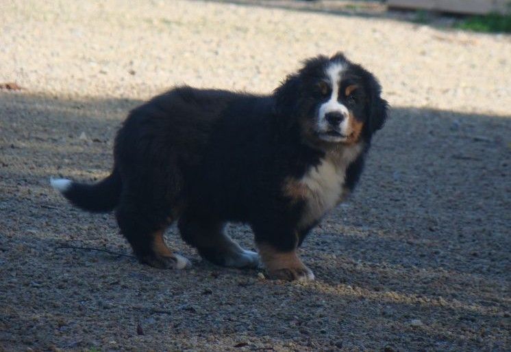 A toi de jouer du royaume des rêves