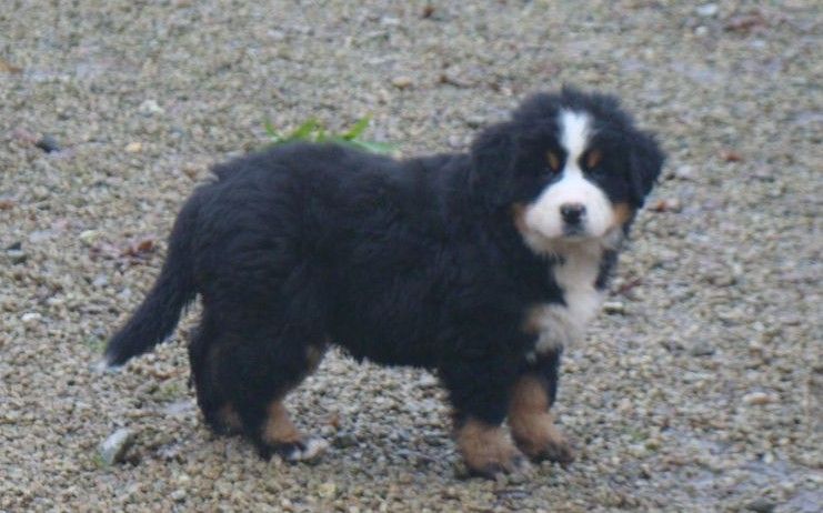 A la une du royaume des rêves