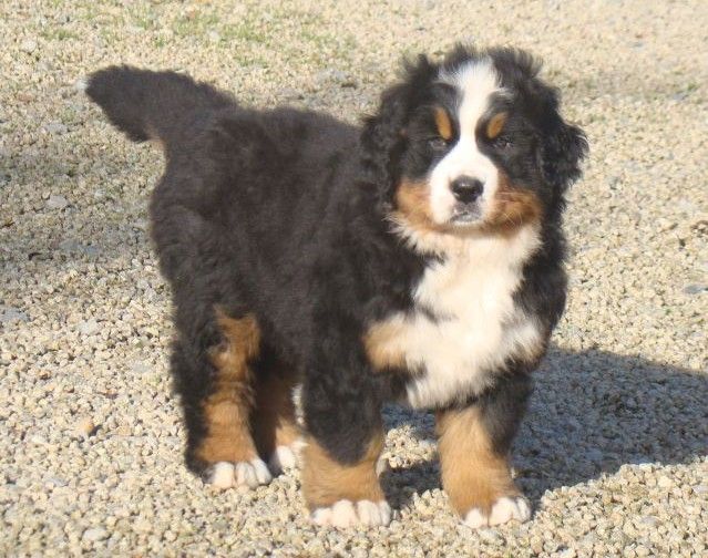 Aquitaine du royaume des rêves