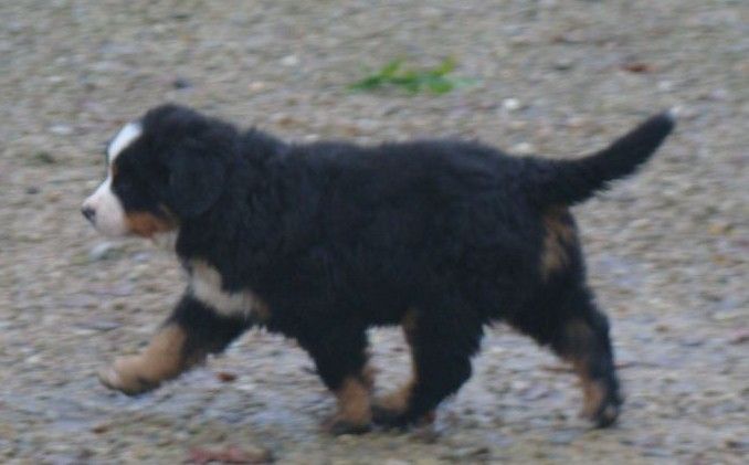 A la une du royaume des rêves