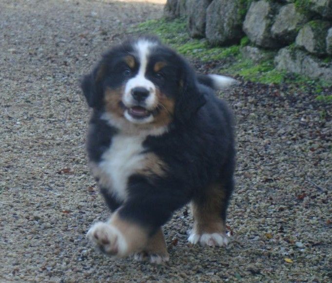 A toi de jouer du royaume des rêves