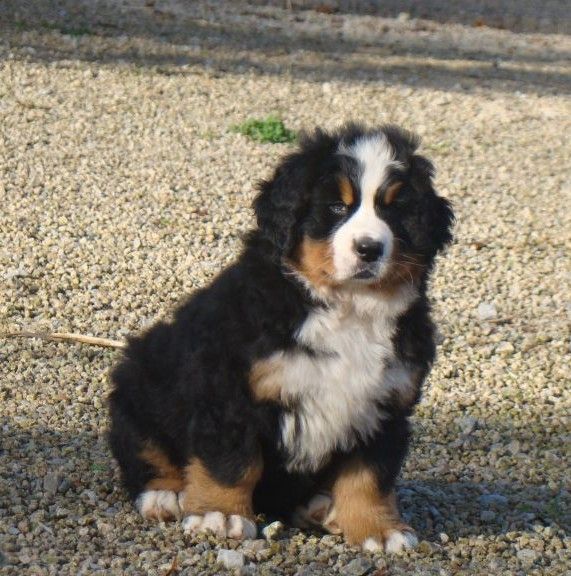 Aquitaine du royaume des rêves