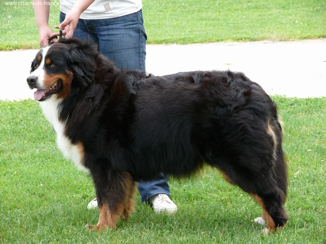 U'tess de la Plaine du Tôt - excellent