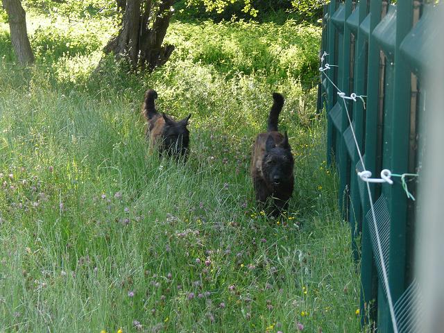 Publication : du moulin de boucheron Auteur : MH Charreyre