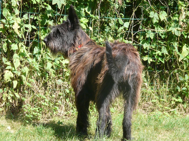 Publication : du moulin de boucheron Auteur : MH Charreyre