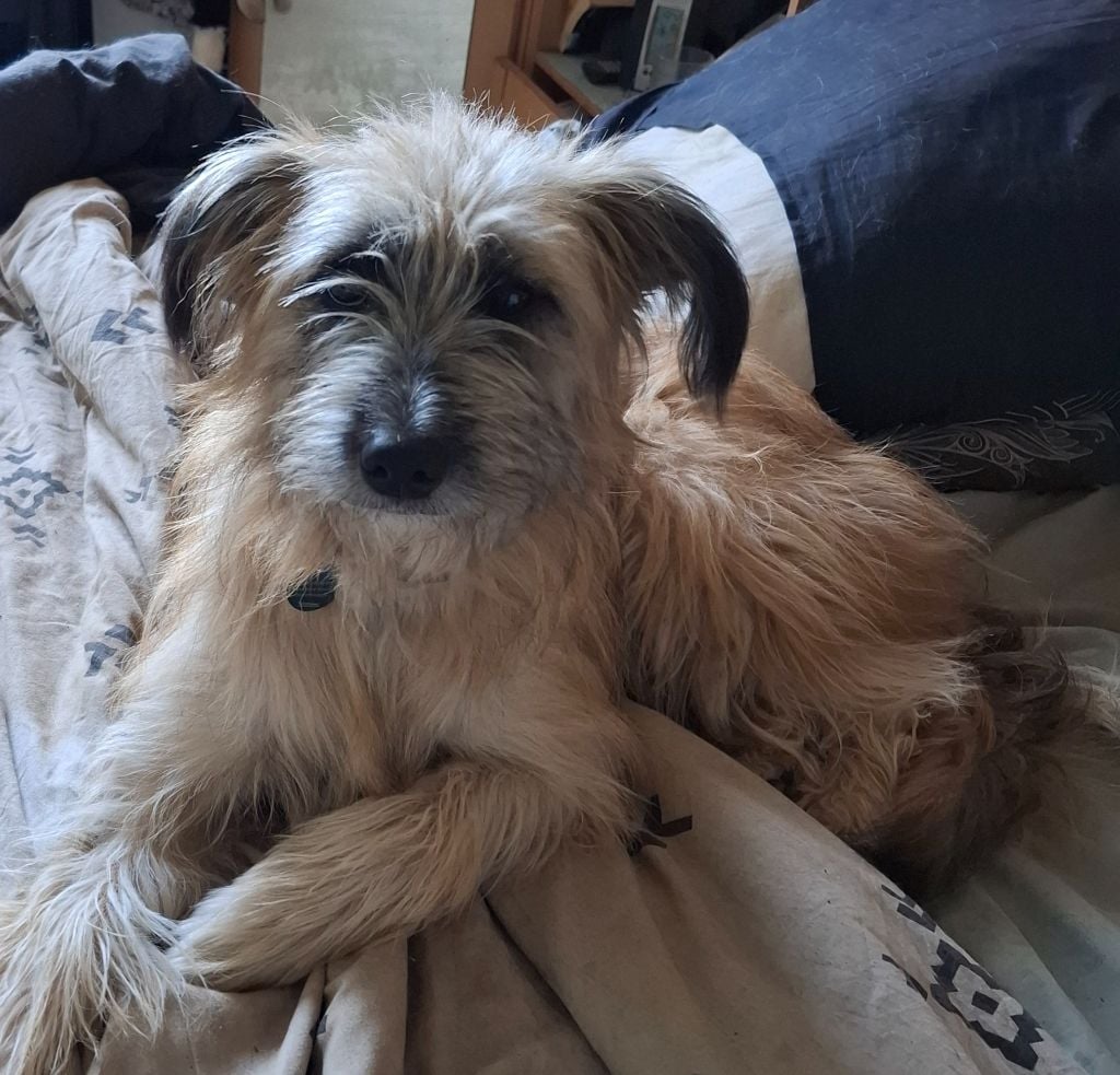 Viana de la vallée d'oueil