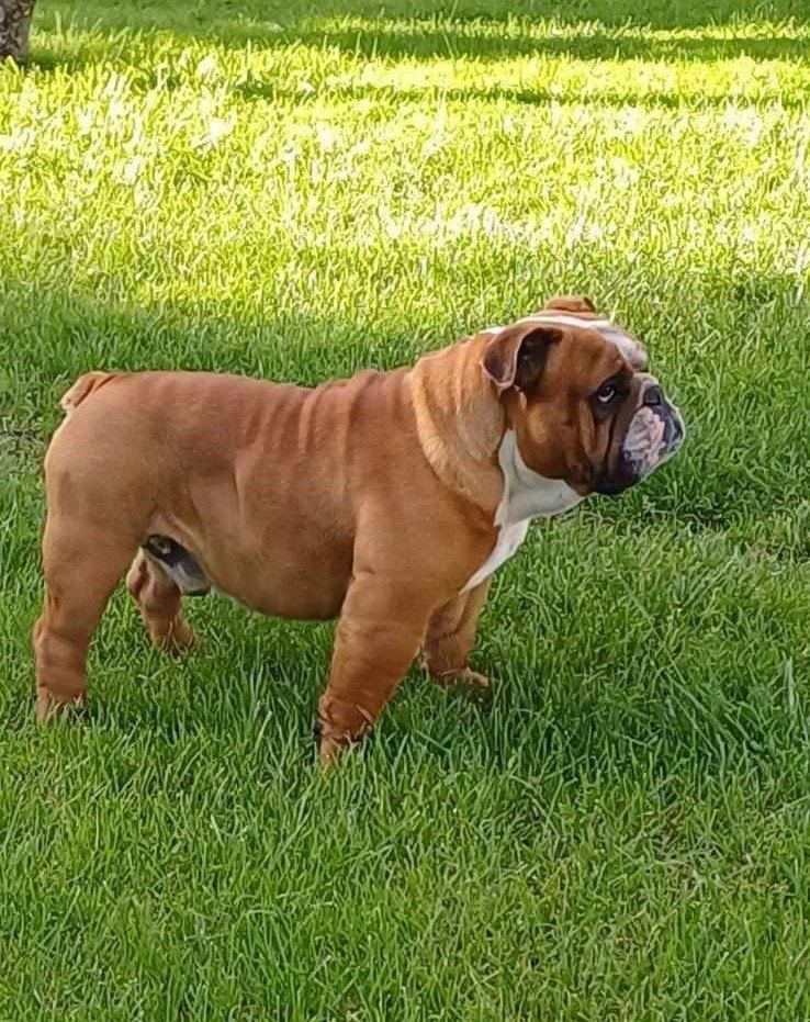 Publication : du domaine des gueules d'amour