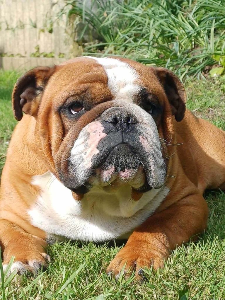 Publication : du domaine des gueules d'amour