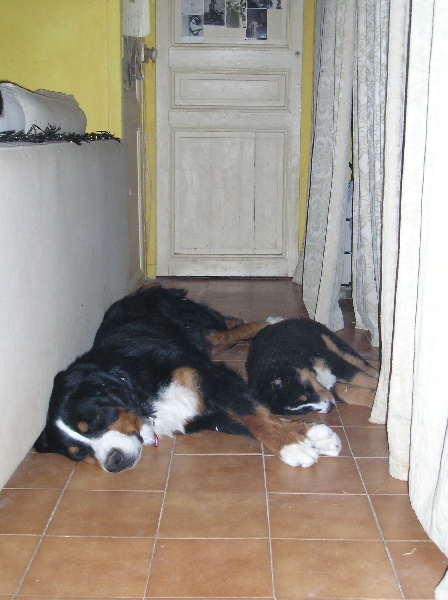 Django du Bateau-Lune