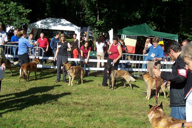 Rambo du guindeau - Bon