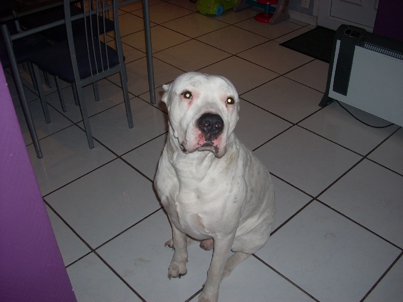 Urko Los guardianes de la hacienda