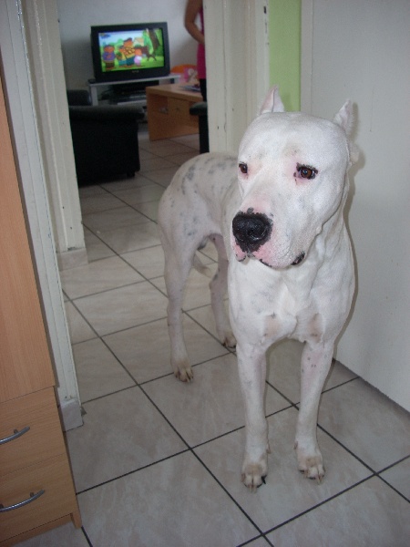 Urko Los guardianes de la hacienda