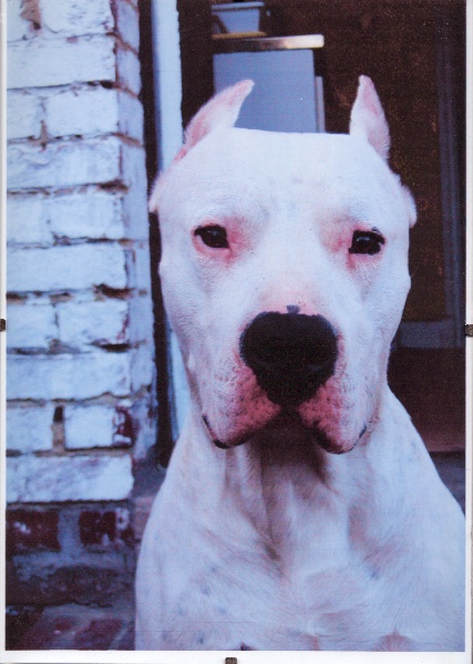 Urko Los guardianes de la hacienda